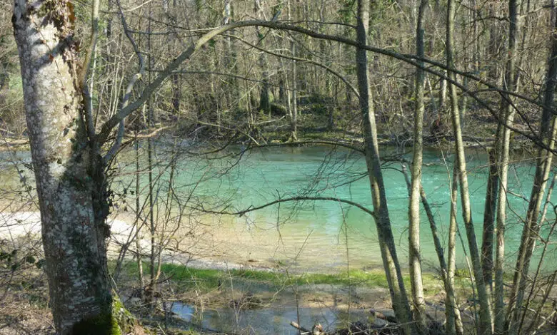 Pêcher la truite dans la rivière Rognon (51)