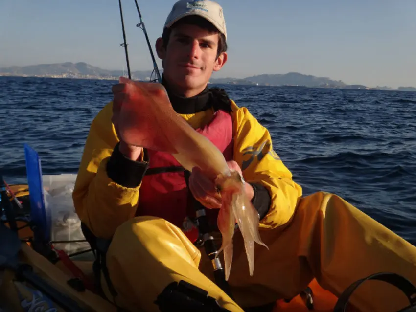 Pêche du calamar au tataki