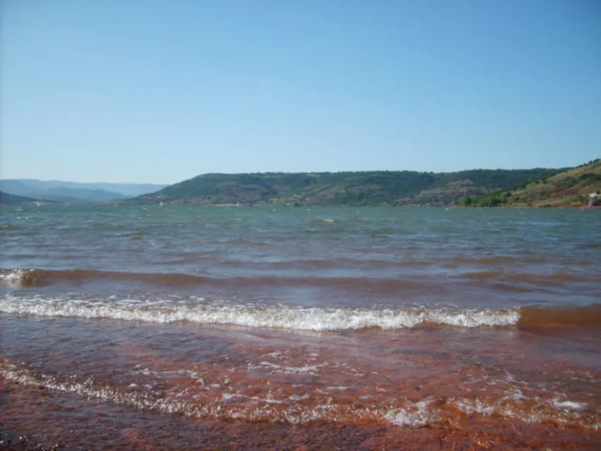 Pêche de la carpe avec du vent