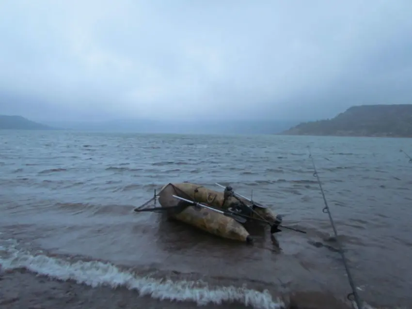 Pêche de la carpe avec du vent