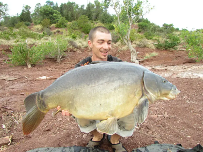 Pêche de la carpe avec du vent