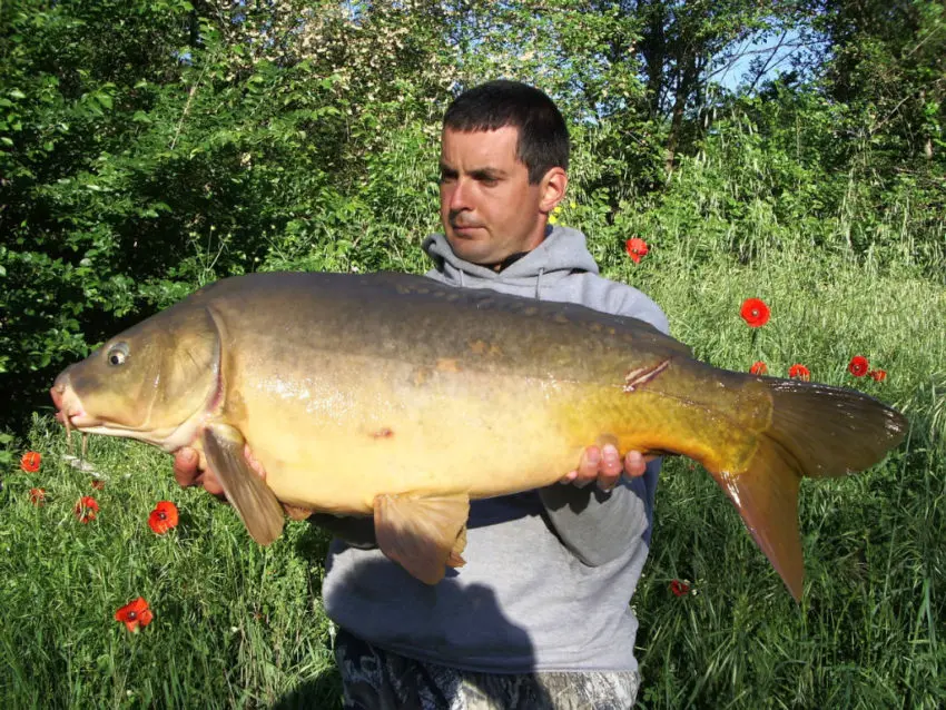 Pêche à la carpe au printemps