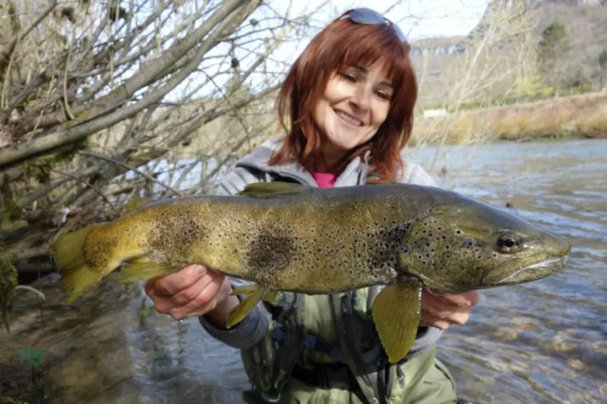 Techniques de pêche à la truite