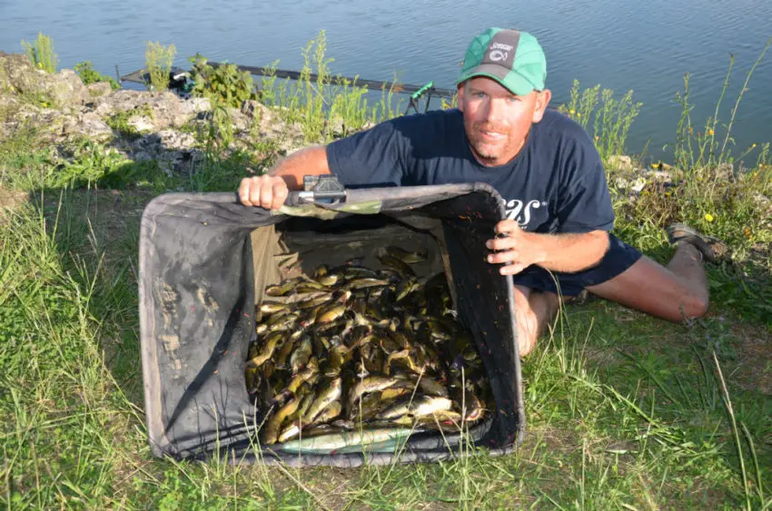 Fondamentaux de la pêche au coup