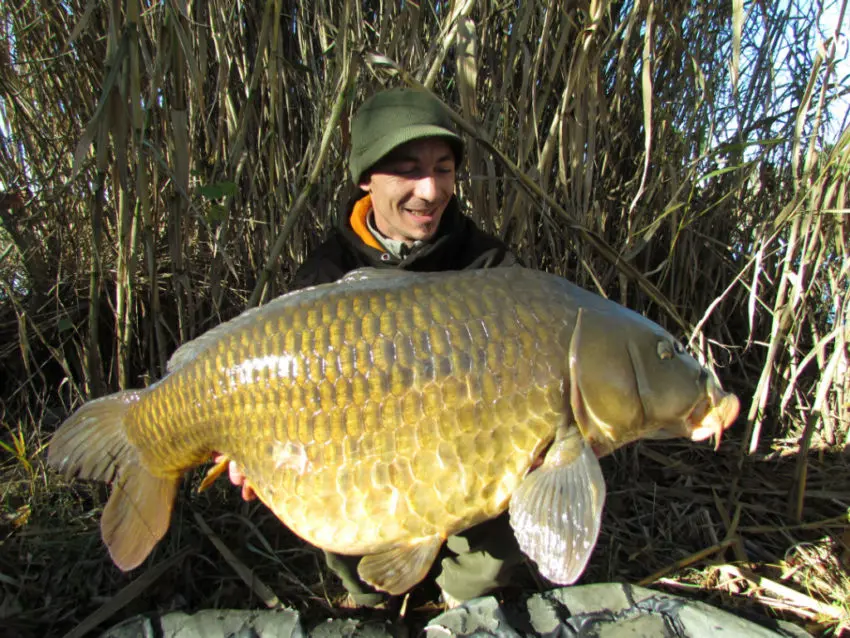 Photo seul à la pêche à la carpe