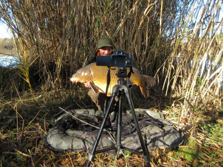 Photo seul à la pêche à la carpe