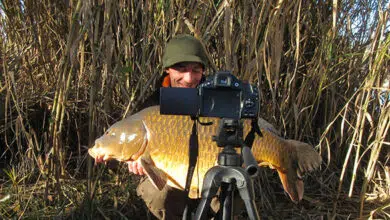 Photo seul à la pêche à la carpe