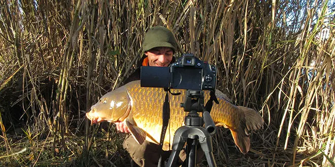 Photo seul à la pêche à la carpe