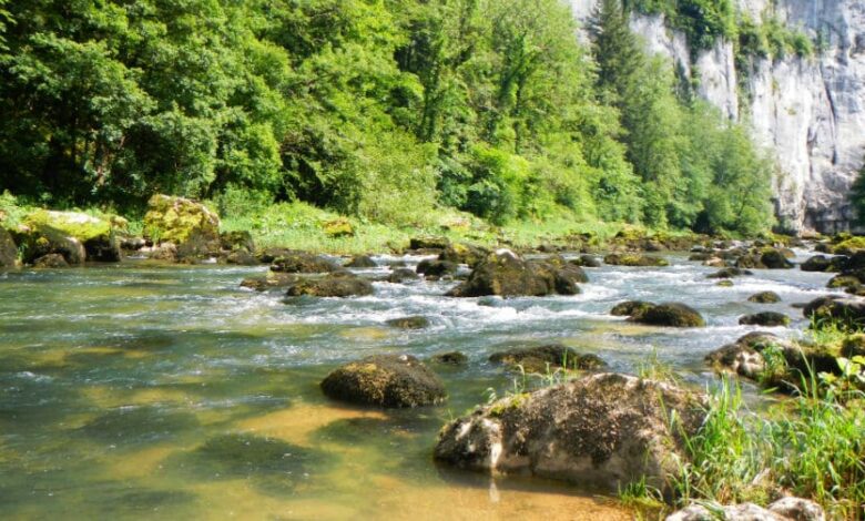 Pêche dans le Doubs