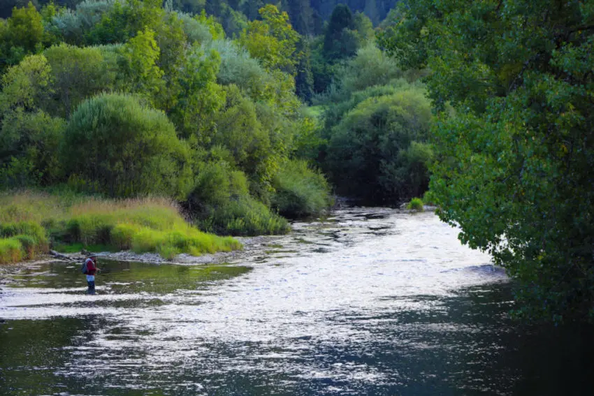 Pêche dans le Doubs