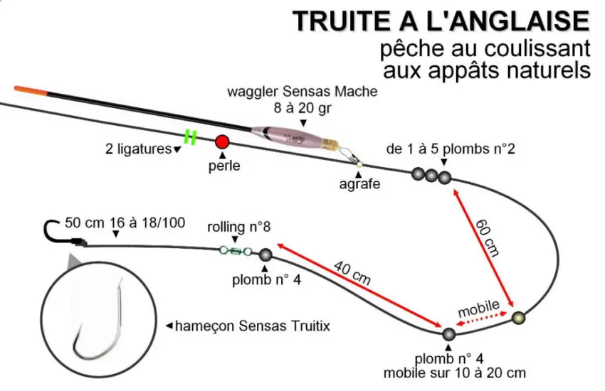 Pêche de la truite à l'anglaise