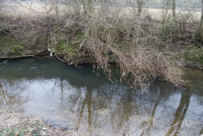 Meilleurs postes pour pêcher la truite