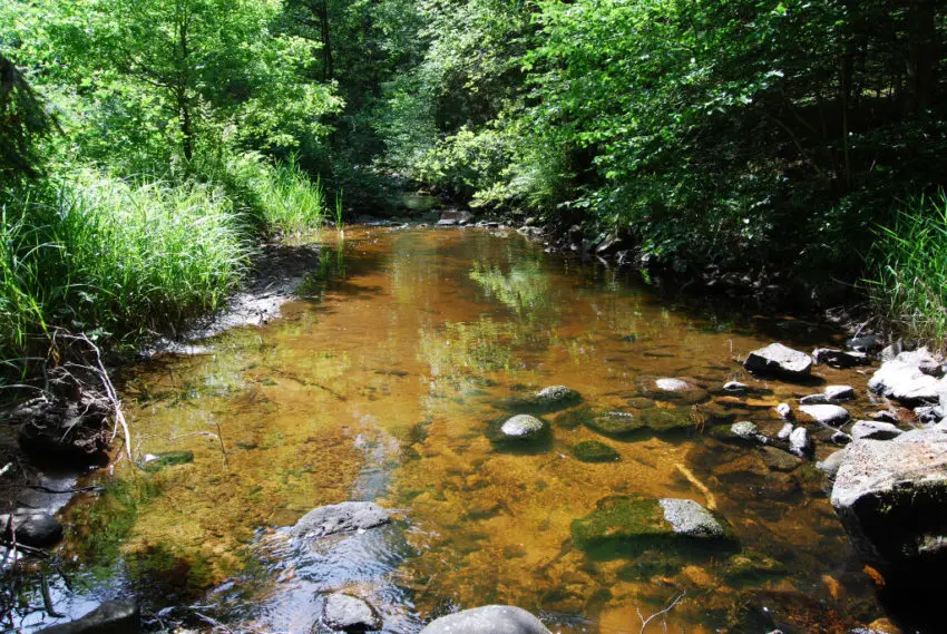 Meilleurs postes pour pêcher la truite