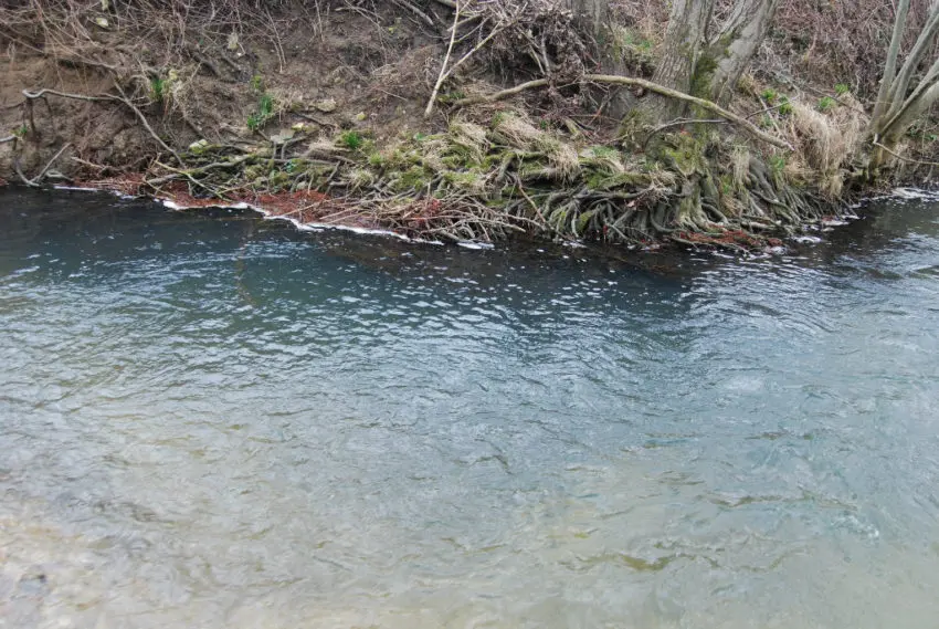 Meilleurs postes pour pêcher la truite