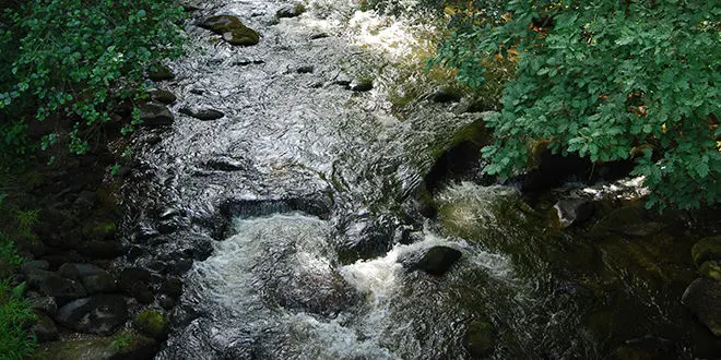 Meilleurs postes pour pêcher la truite