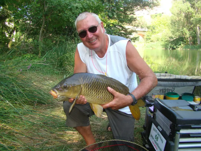 Meilleures amorces pour la pêche au coup en été