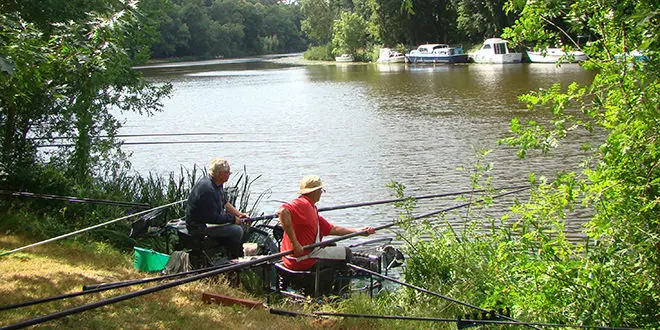 Meilleures amorces pour la pêche au coup en été