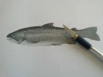 Craft d'un leurre swimbait pour la pêche du brochet