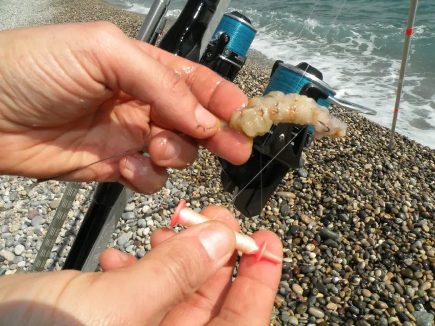 Pêche à la crevette en surfcasting