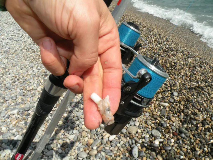 Pêche à la crevette en surfcasting