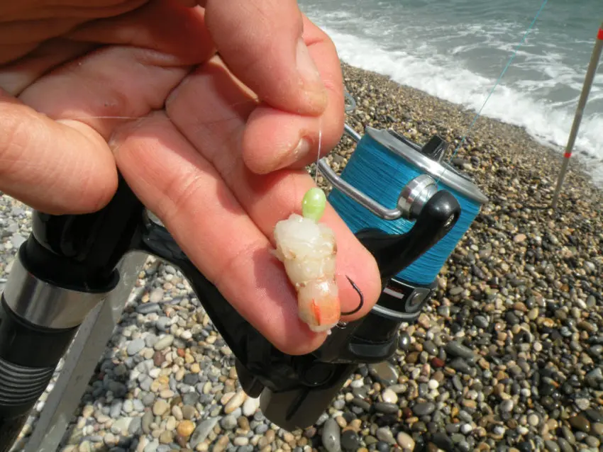 Pêche à la crevette en surfcasting