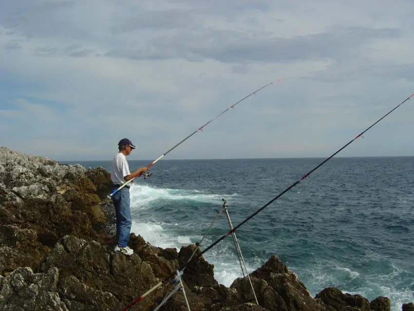 Pêche à la crevette en surfcasting