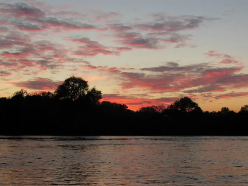 Pêche de l'aspe au leurre finesse