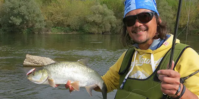 Pêche de l'aspe au leurre finesse