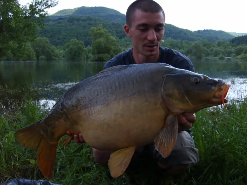 Pêche à la bouillette flottante en période de frai de la carpe