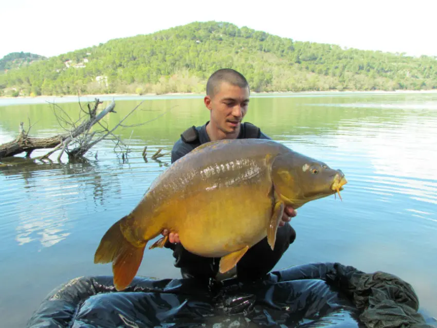 Pêche à la bouillette flottante en période de frai de la carpe