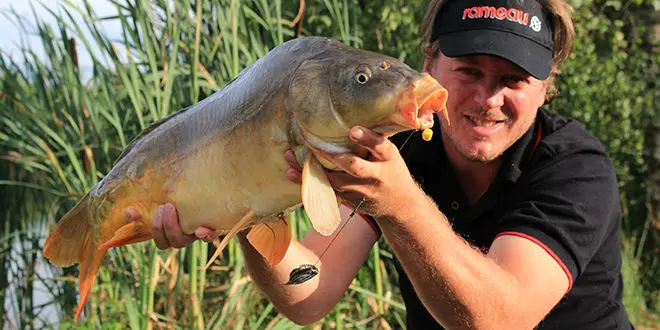 Pêche au method feeder au pellet flottant