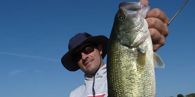 Place du black-bass dans le biotope en France