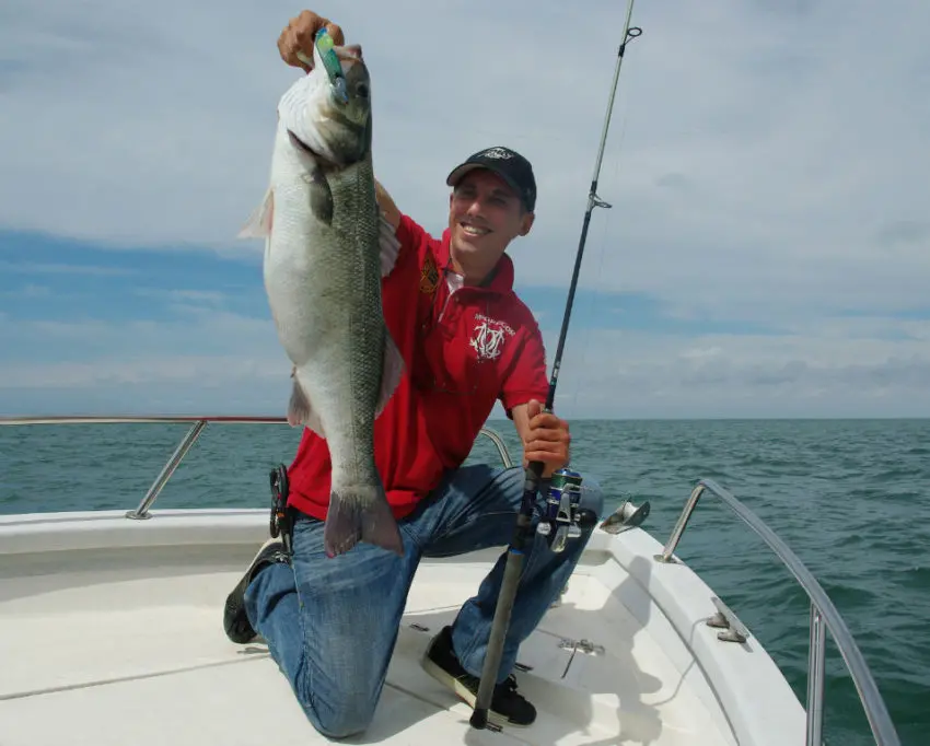 Pêche en mer avec des shads prémontés en texan