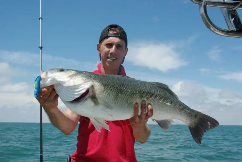 Pêche en mer avec des shads prémontés en texan