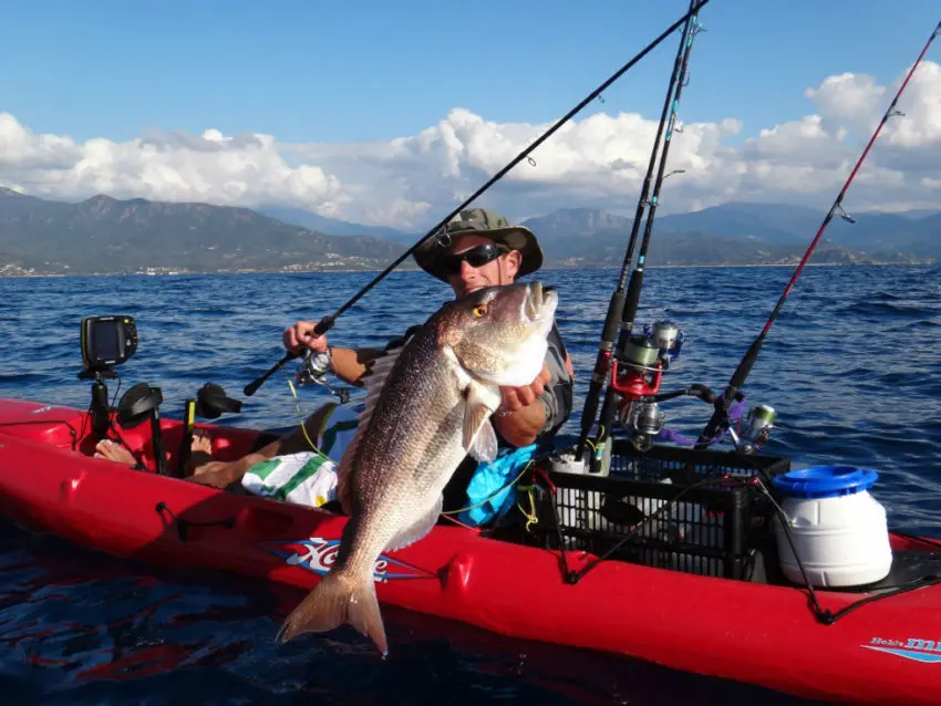 Pêche en mer avec des shads prémontés en texan