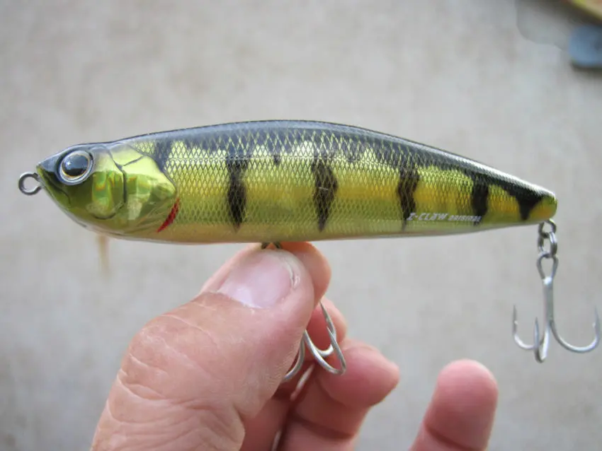 Pêche des carnassiers au leurre de surface