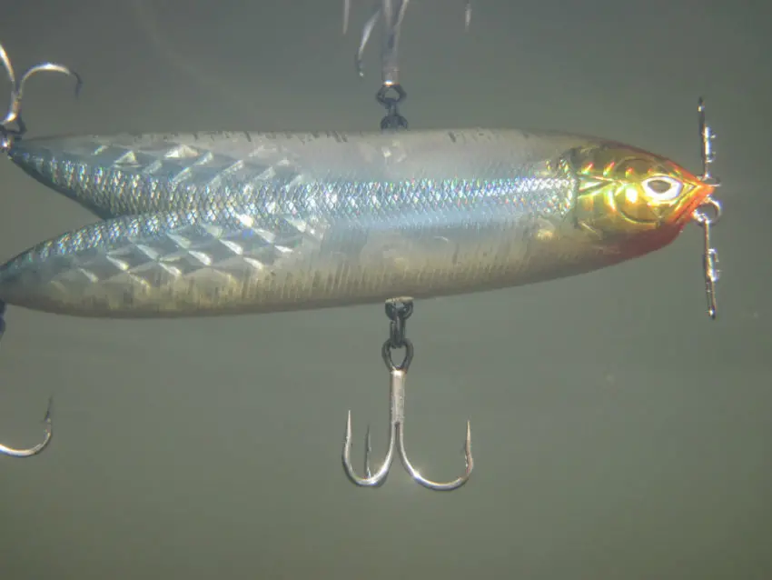 Pêche des carnassiers au leurre de surface