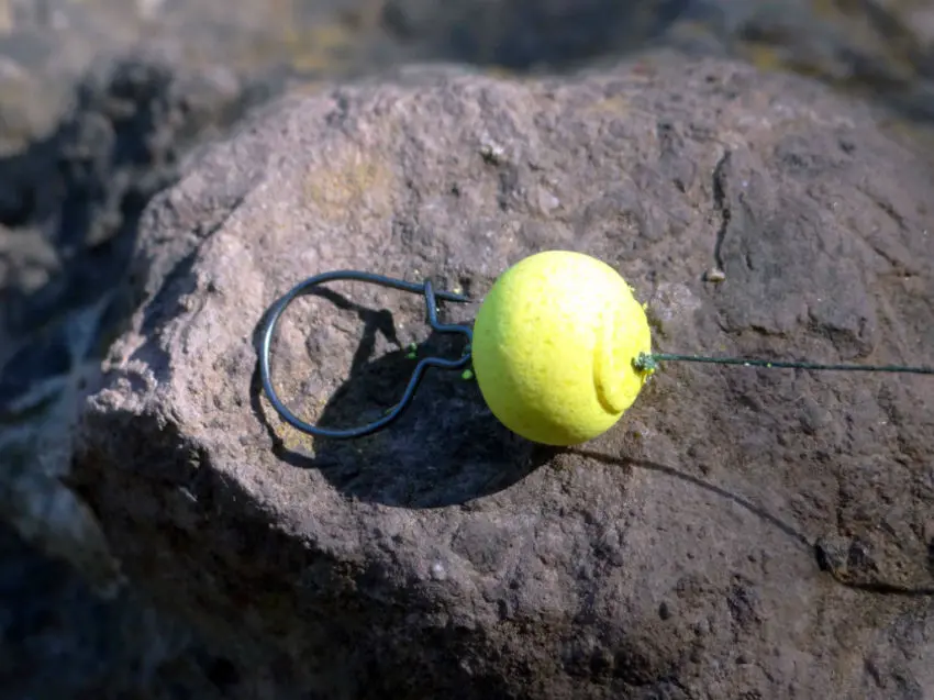 Montage Maggot Clip pour la pêche de la carpe