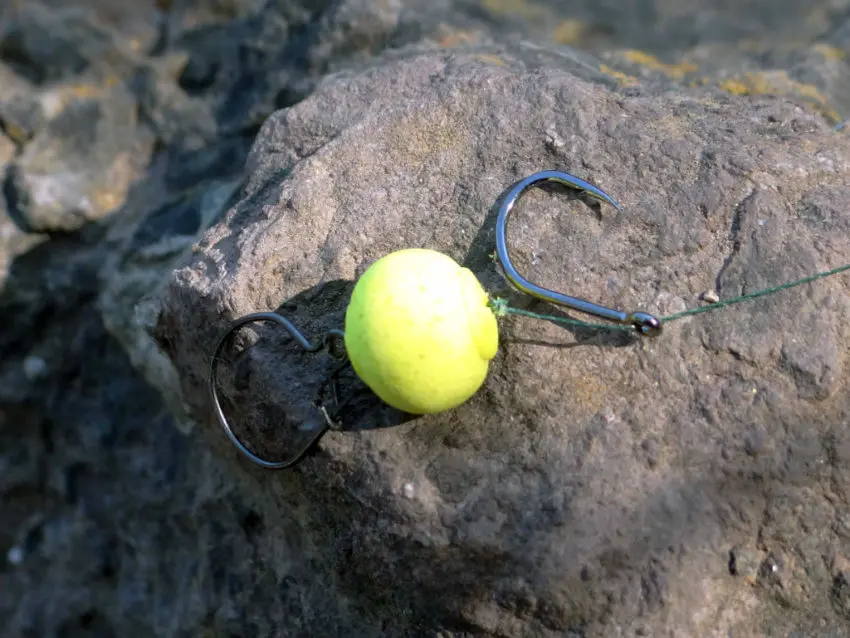 Montage Maggot Clip pour la pêche de la carpe