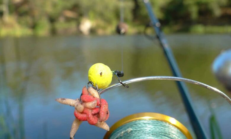 Montage Maggot Clip pour la pêche de la carpe