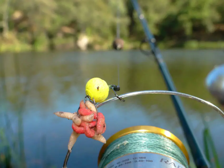 Montage Maggot Clip pour la pêche de la carpe