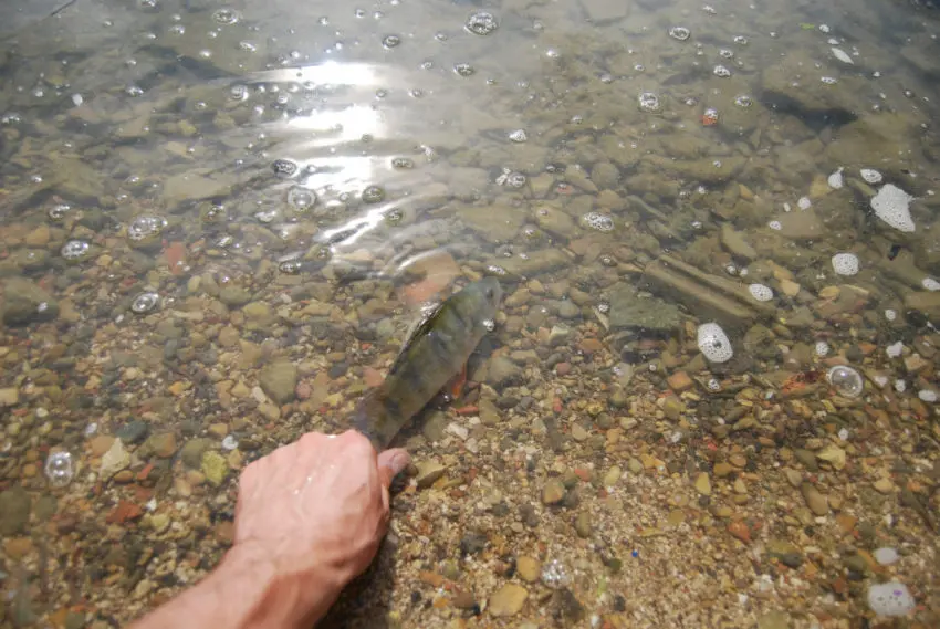 Pêche en ultra léger en deuxième catégorie