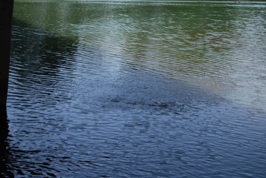 Pêche en ultra léger en deuxième catégorie