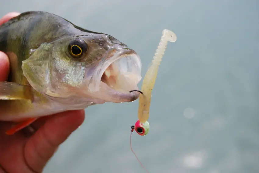 Pêche en ultra léger en deuxième catégorie