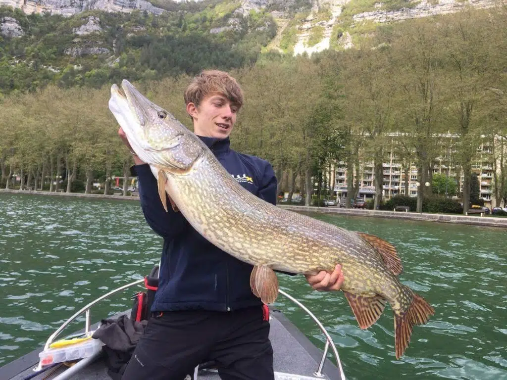 Brochet record à Nantua