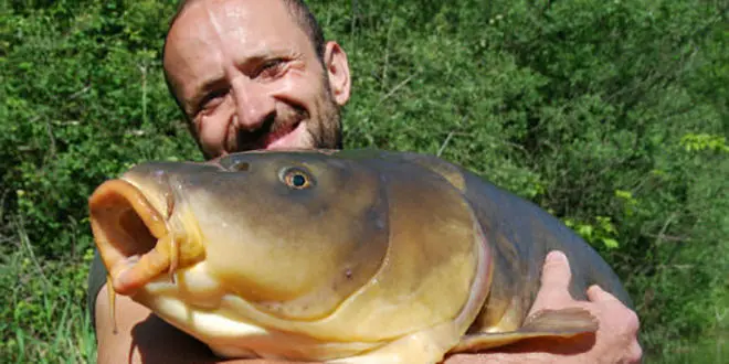 Graine ou bouillette pour la pêche à la carpe ?