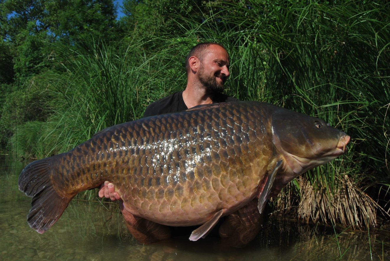 carpe-record-top-20-des-plus-grosses-carpes-de-france