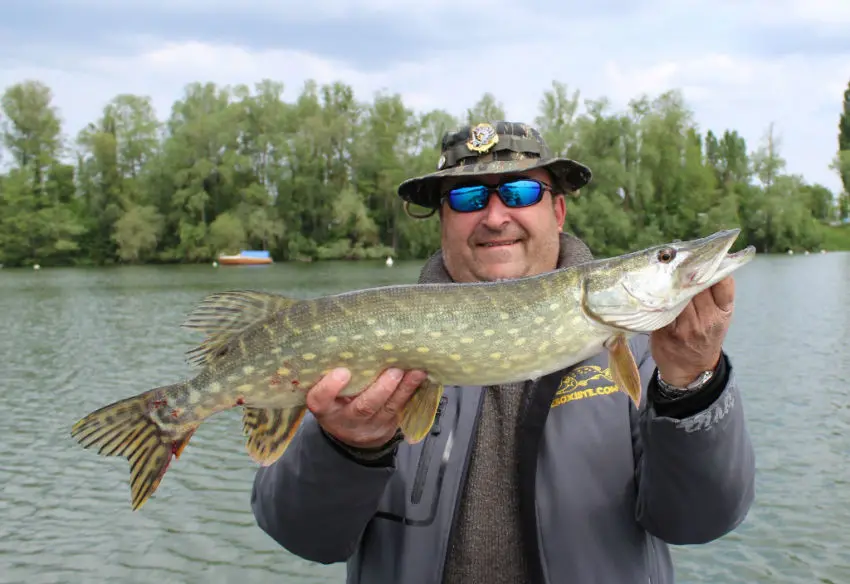 Leurre Shadow Rap de Rapala pour la pêche des carnassiers