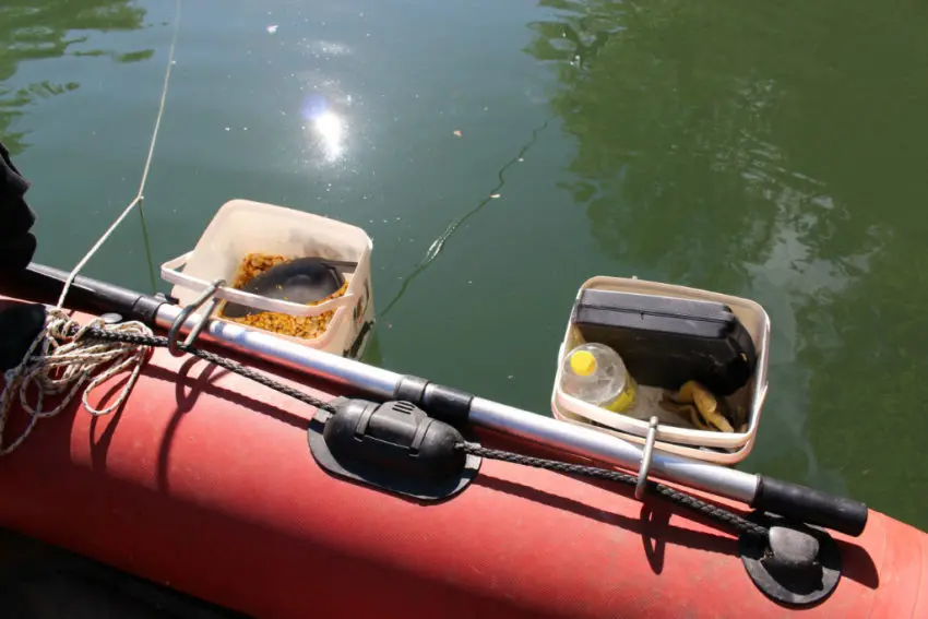 Pêche de la carpe en bateau