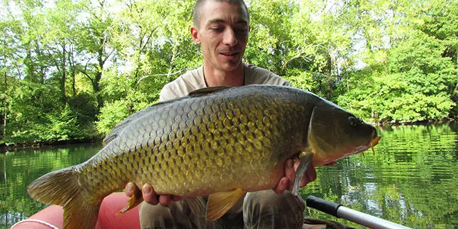 Pêche de la carpe en bateau